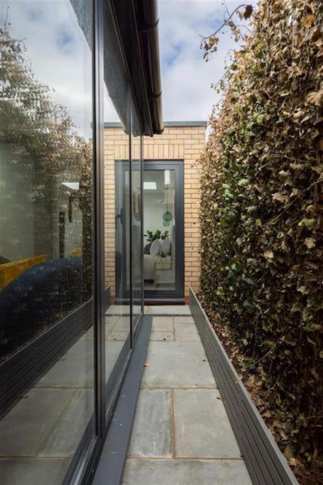Cozy Leyton House With Garden And Small Terrace ลอนดอน ภายนอก รูปภาพ